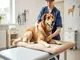 einrenken-fuer-tiere-was-tierbesitzer-wissen-sollten